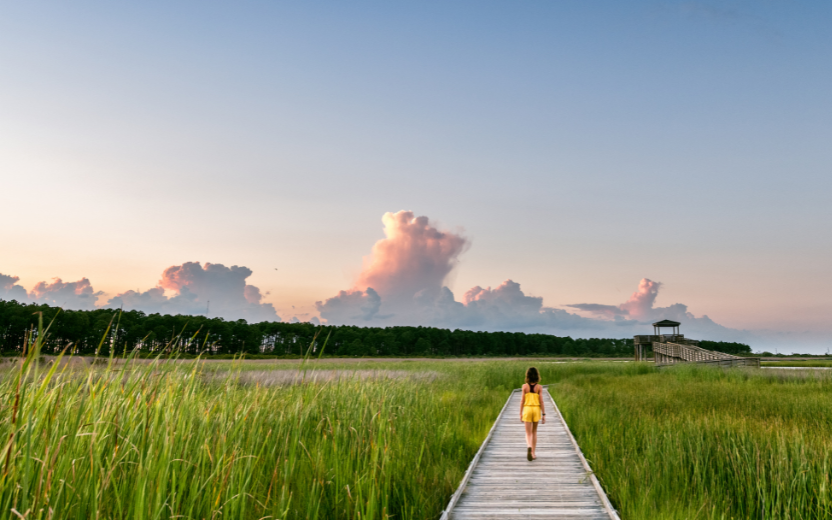 Summer Wellbeing Explore Working At Cornell